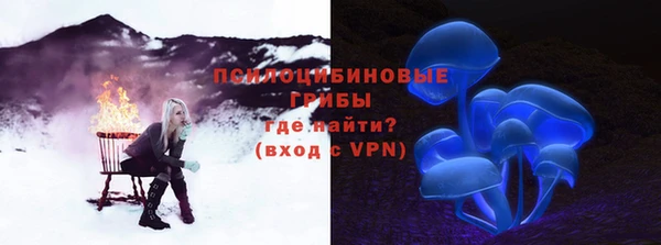 ешки Богородск