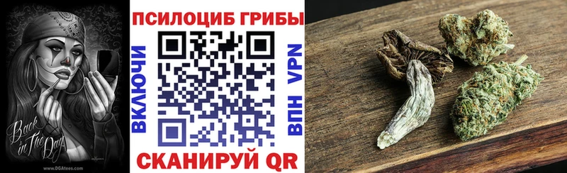Галлюциногенные грибы прущие грибы  купить   Слободской 